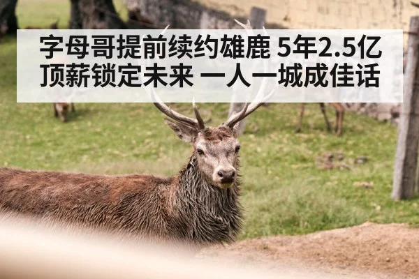 字母哥提前续约雄鹿 5年2.5亿顶薪锁定未来 一人一城成佳话（jiuyouhui）