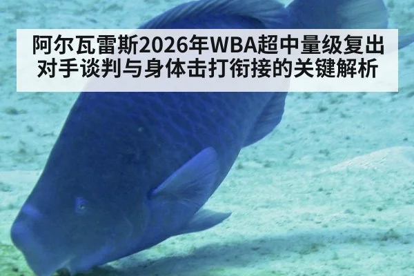 阿尔瓦雷斯2026年WBA超中量级复出 对手谈判与身体击打衔接的关键解析